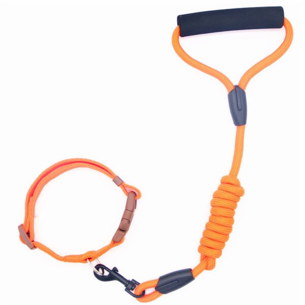 Pet Leash Dog Collar, Dog Leash, Dog Chain - Image 2