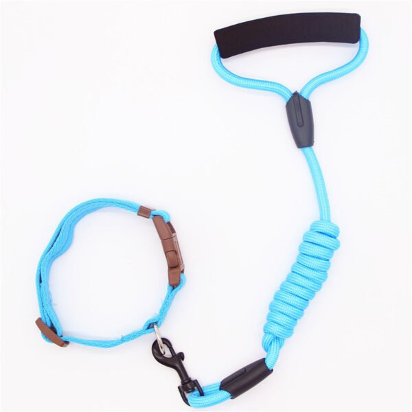 Pet Leash Dog Collar, Dog Leash, Dog Chain - Image 5