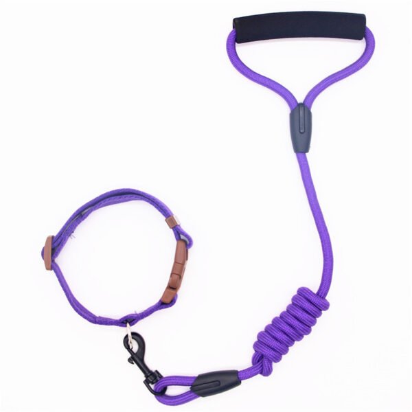 Pet Leash Dog Collar, Dog Leash, Dog Chain - Image 4