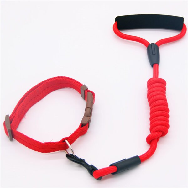 Pet Leash Dog Collar, Dog Leash, Dog Chain - Image 6