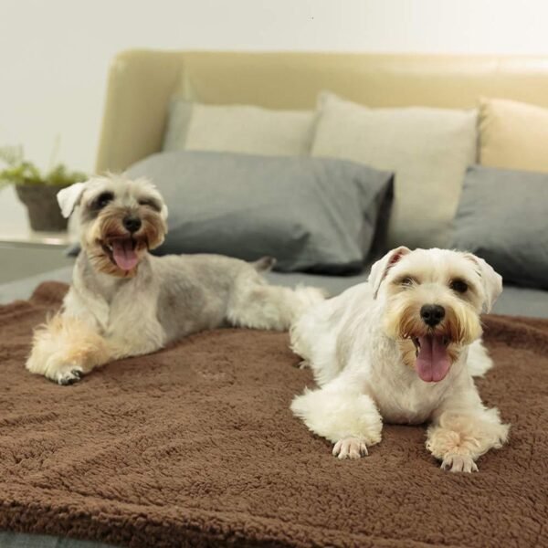 Plush Pet Blanket Dog Mat Cat Mat Pet Air Conditioning Mat Pet Plush Mat - Image 7