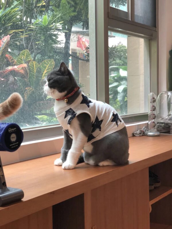 Pet Shirt Dog Funny Print Jersey Cat T-Shirt Clothes - Image 2