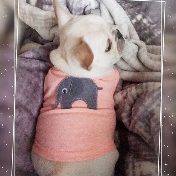Pet Shirt Dog Funny Print Jersey Cat T-Shirt Clothes - Image 8