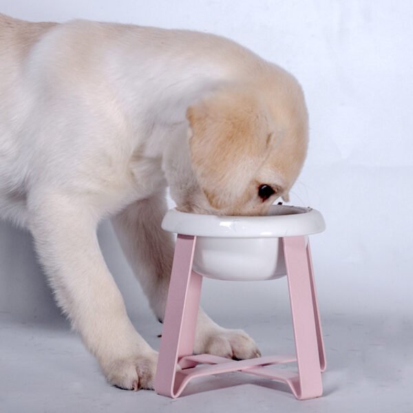 Pet Bowls Creative Antislip Cat Feeding Bowl With Iron Stand 2 In 1 Pet Food Water Feeder
