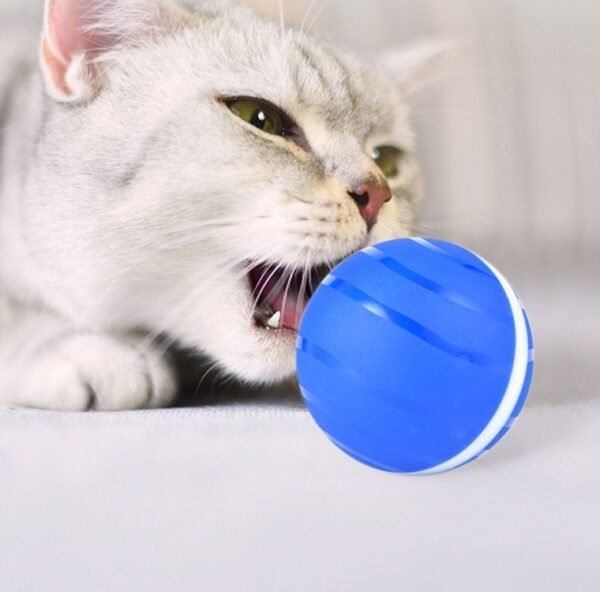 Pet Toy Ball Led Rolling Flash Ball - Image 5