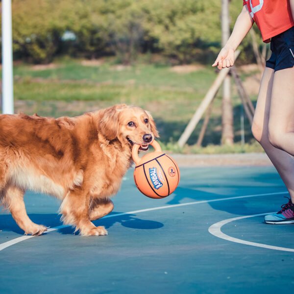 Jianbao Ball Dog Toy Bite Resistant Pet Toy Ball Puzzle - Image 3