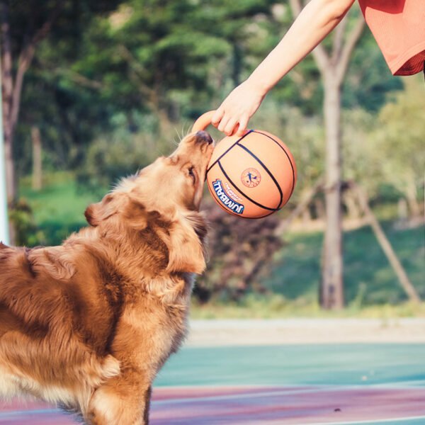 Jianbao Ball Dog Toy Bite Resistant Pet Toy Ball Puzzle - Image 2
