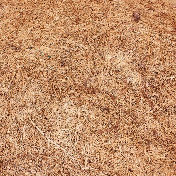 Nomo Reptile Supplies Coconut Palm Mat material Reptile Tortoise Leopard Tortoise Star Tortoise Lizard Dust-free Reptile Box Landscaping - Image 3