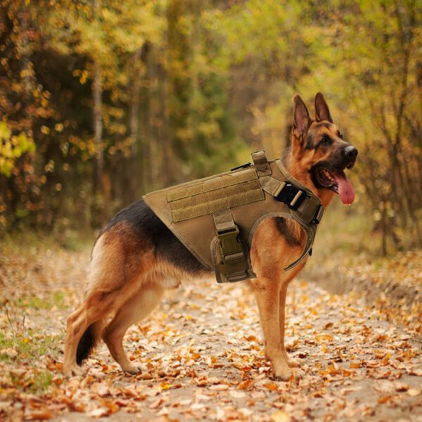 Outdoor Tactical Dog Vest For Large Dogs - Image 3