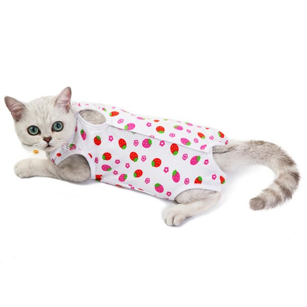 Cat Clothes Spring And Summer Thin Female Cat Clothes Anti-Licking Clothes Cat Clothes Summer Clothes - Image 4