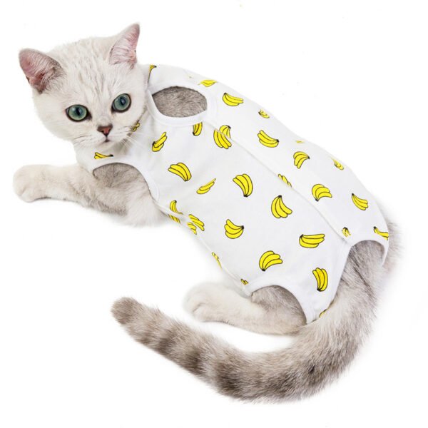 Cat Clothes Spring And Summer Thin Female Cat Clothes Anti-Licking Clothes Cat Clothes Summer Clothes - Image 5