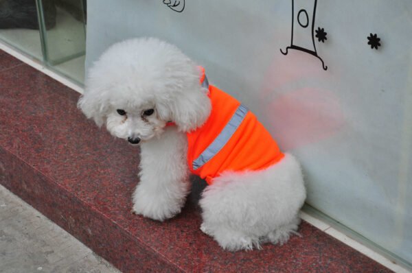 Summer Pet Clothing Dog Reflective Clothing Work Dog Safety Clothing - Image 3