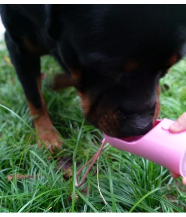 Dog Cat Pet Water Bottle Portable Leak Proof Water Dispenser and Food, Lightweight - Image 4