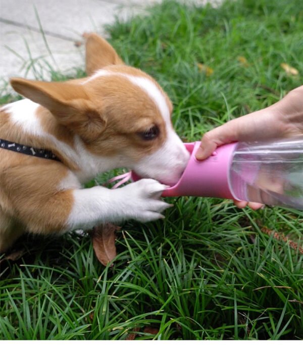Dog Cat Pet Water Bottle Portable Leak Proof Water Dispenser and Food, Lightweight