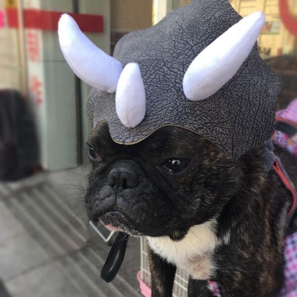 Pet Triceratops Dog Dinosaur Hat Pet Cat Dog Hat Pet Transformation Cap Pet Headgear Costume - Image 4