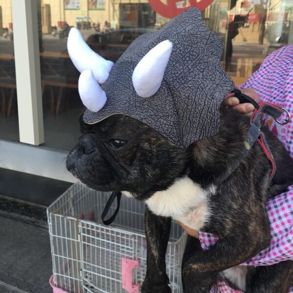 Pet Triceratops Dog Dinosaur Hat Pet Cat Dog Hat Pet Transformation Cap Pet Headgear Costume - Image 3