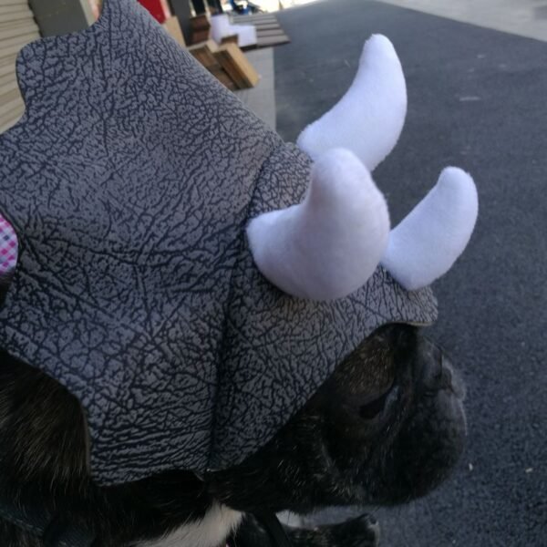 Pet Triceratops Dog Dinosaur Hat Pet Cat Dog Hat Pet Transformation Cap Pet Headgear Costume - Image 5