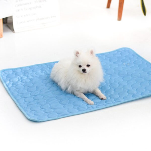 Summer Cooling Pet Sleeping Ice Silk Mat - Image 3