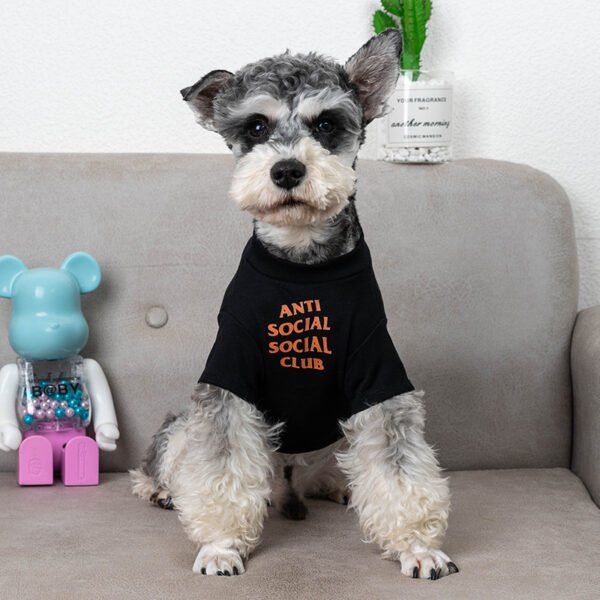 Pet Clothes Trendy Brand Dog Clothes Summer - Image 6
