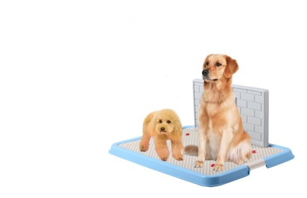 Dog Toilet Puppy Teddy Dog Urinal Potty Golden Hair Puppies - Image 4
