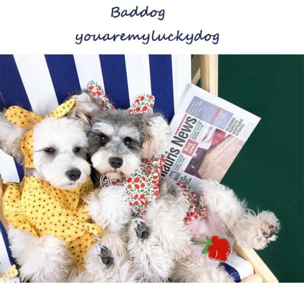 Dog Clothes Summer Thin Small Dog Dress Pet Clothes - Image 4
