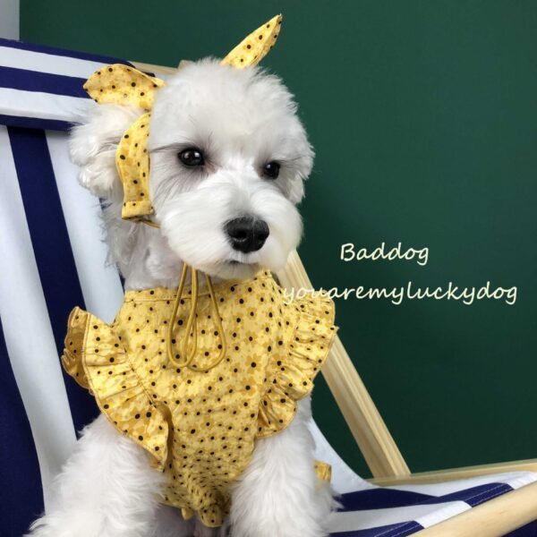 Dog Clothes Summer Thin Small Dog Dress Pet Clothes - Image 3