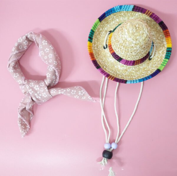 Pet Accessories Summer Outing Set - Image 6