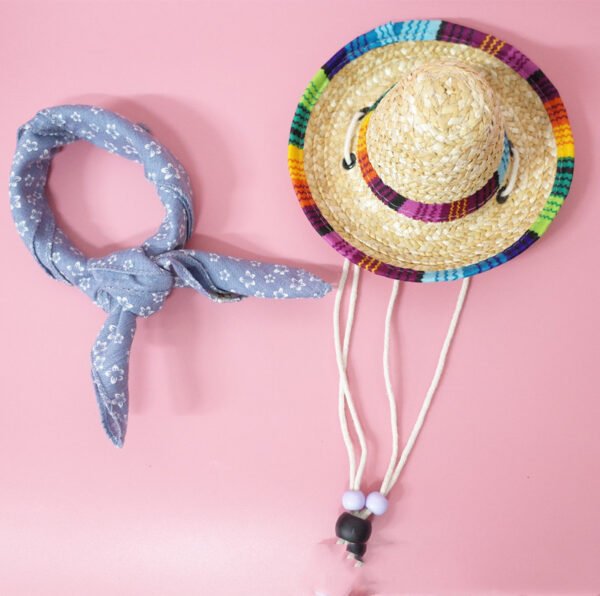 Pet Accessories Summer Outing Set - Image 7