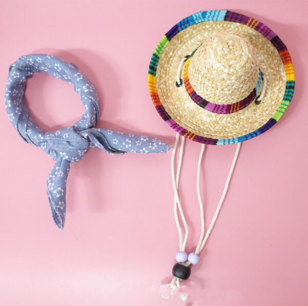 Pet Accessories Summer Outing Set - Image 2