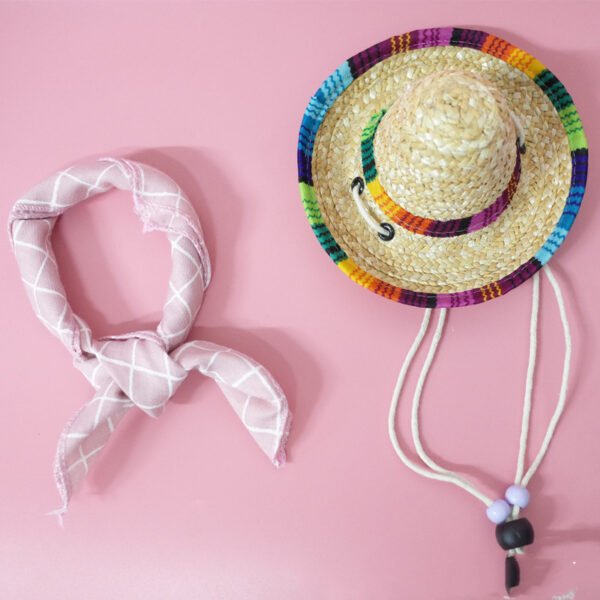 Pet Accessories Summer Outing Set - Image 4