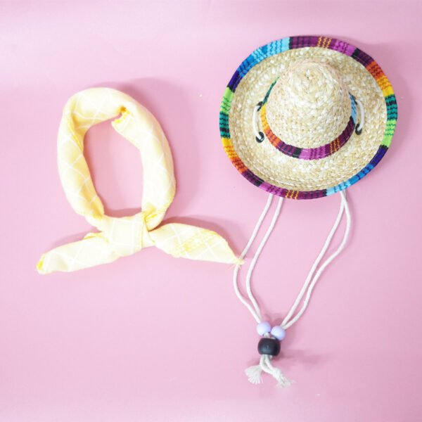 Pet Accessories Summer Outing Set - Image 3