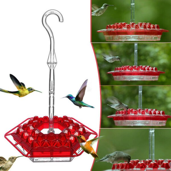 New Flower Hexagonal Bird Feeder Sensation Coneflower Bird Feeder - Image 4