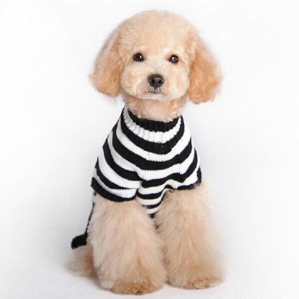 Skull Dog Halloween Sweater Pet Supplies - Image 2