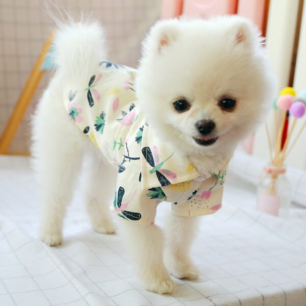 Small dog than the bear pomei thin summer cute shirt - Image 4