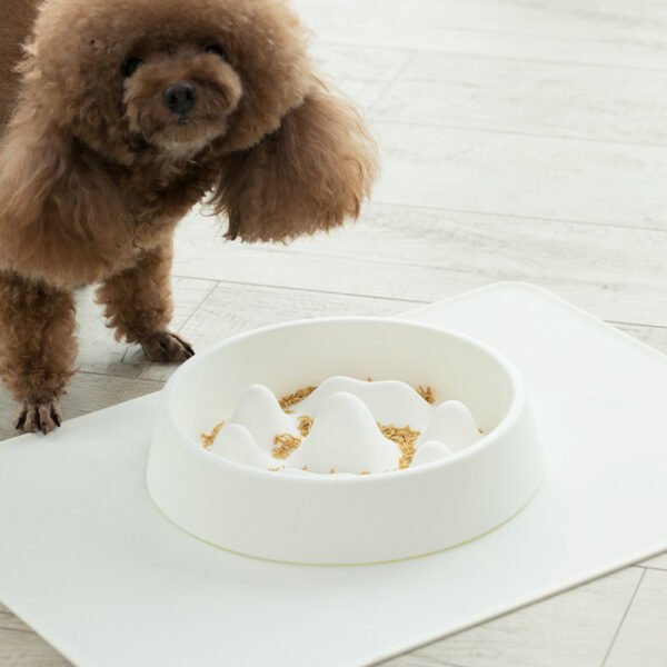 Pet Slow Food Bowl - Image 2