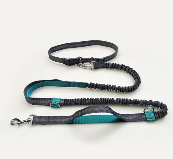 Amazon direct pet supplies multi-function running reflective pull dog leash double elastic dog leash traction - Image 10