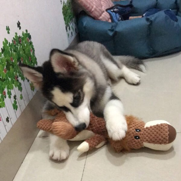 Pet Puppies Bite-resistant Dog Plush Products - Image 3