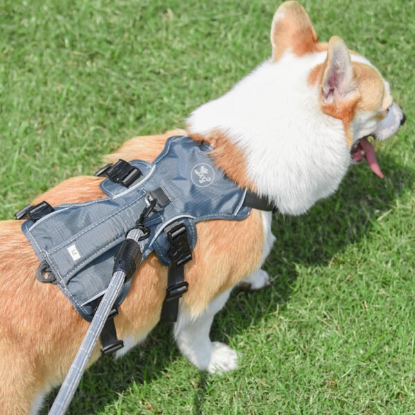 Pet Harness Dog Hand Holding Rope - Image 6