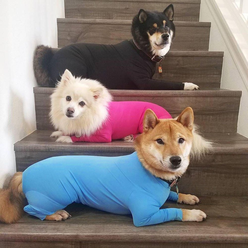 Pet Dog Jumpsuit Medium Large Dog Pajamas Anxiety 10 Pet Dog Jumpsuit Medium Large Dog Pajamas Anxiety - Image 10