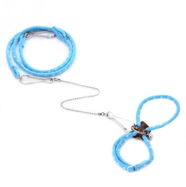 Training Traction Rope Hamster Supplies - Image 6