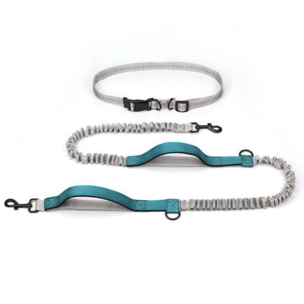 Pet Supplies Outdoor Running Dog Leash - Image 3