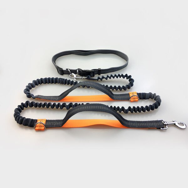 Amazon direct pet supplies multi-function running reflective pull dog leash double elastic dog leash traction - Image 3