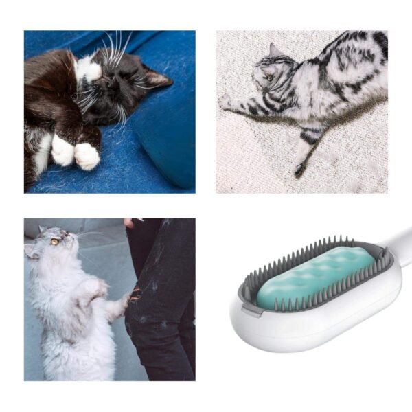 Cat Hair Brush With Water, Sticky Brush For Cats, 4 In-1 Cat Grooming Brush Creative Update Cat Dog Grooming Comb With Water Tank Double-Sided Hair Removal Brush Kitten Pet Supplies Accessories - Image 4