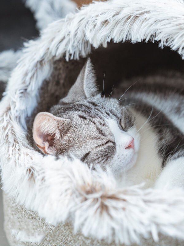 Polar Warm Cat Litter Closed Cat Sleeping Bag Large Winter Deep Sleep Cat Bed - Image 2