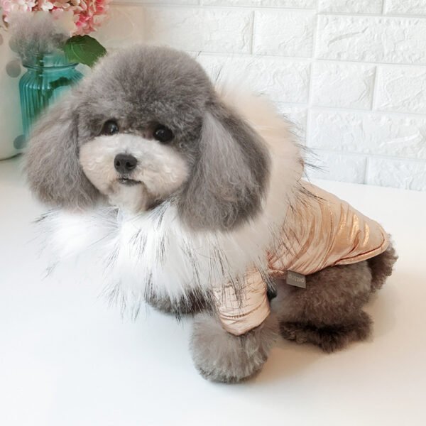 Thicken dog clothes - Image 3