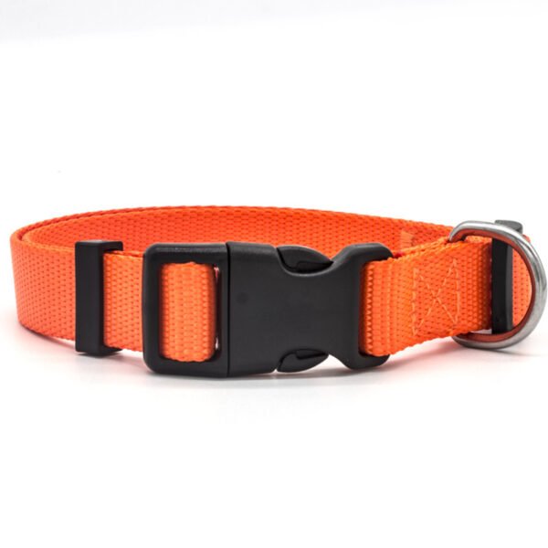 New Pet Collar - Image 9