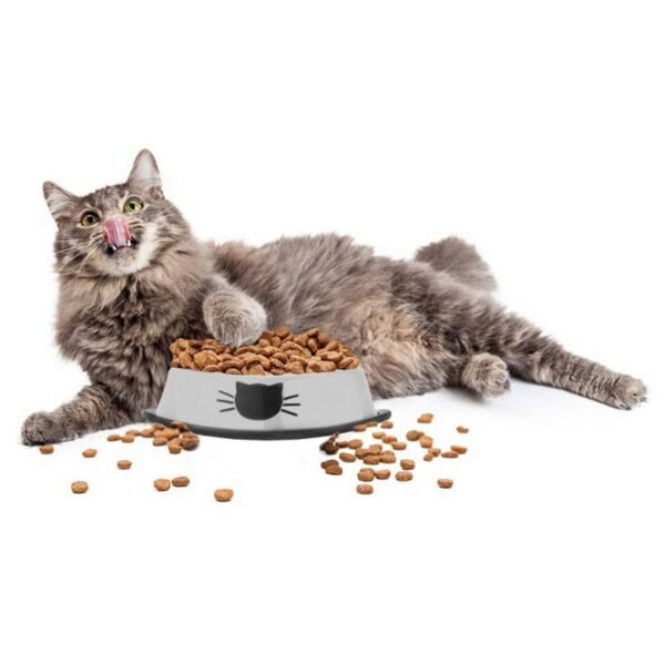 Stainless steel pet bowl - Image 4
