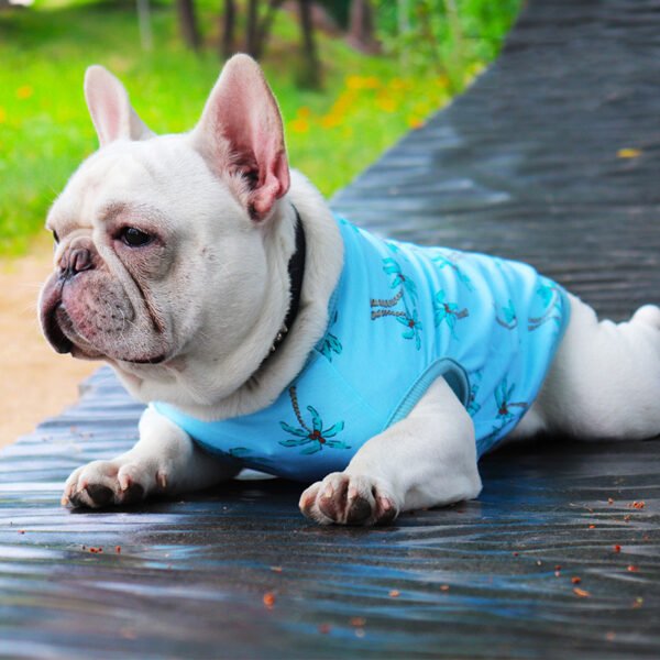 Pet clothes dog clothes summer thin cat Teddy - Image 4