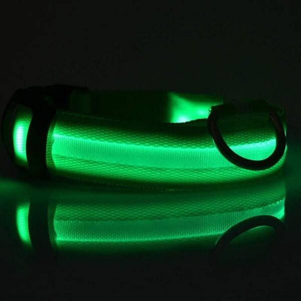 Nylon LED Pet Dog Luminous Collar Night Safety Flashing Glow in Dark Dog Cat Leash Adjustable Pet Supplies - Image 4