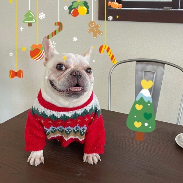 Pet Christmas Sweater Dog Cat Fight - Image 6